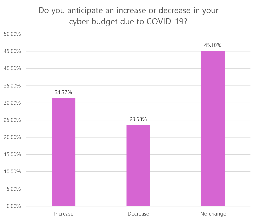 cybersecurity budgets